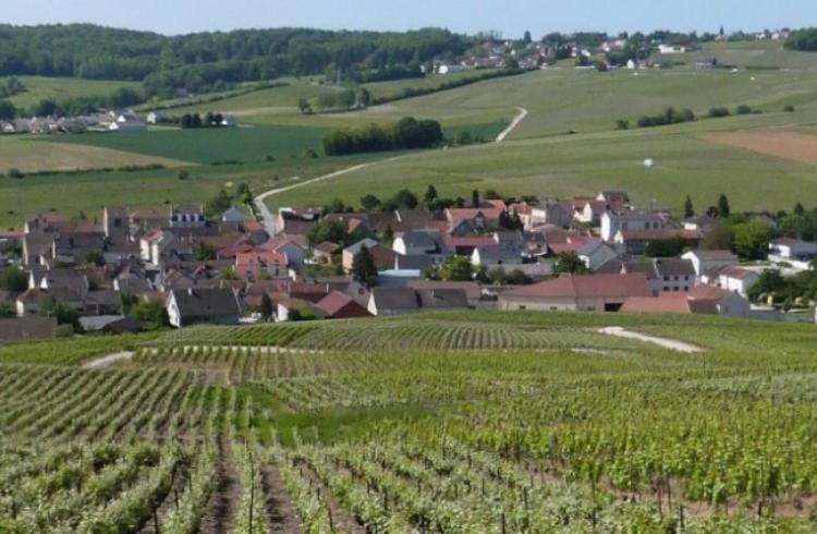 Apartamento La Longere De Vin'Ay Vinay  Exterior foto